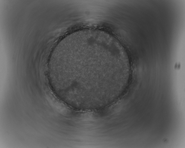 X0000112510769200909071307