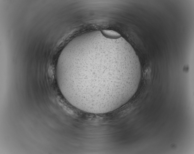 X0000112510772200909071307