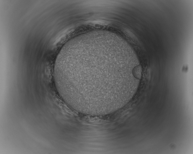 X0000112510774200909071307