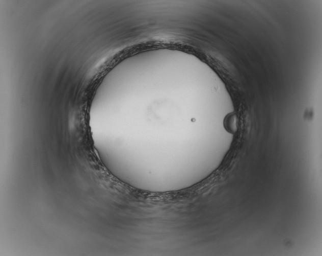 X0000112510776200909071307