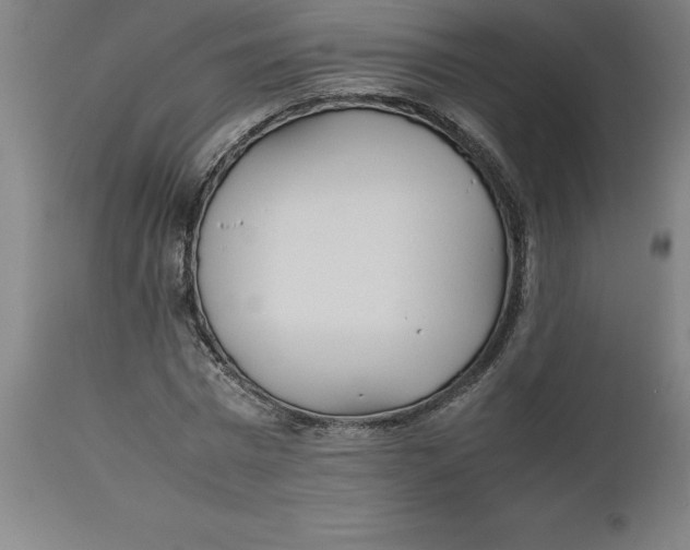 X0000112510777200909071307