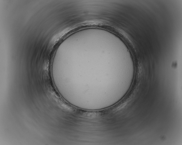 X0000112510778200909071307