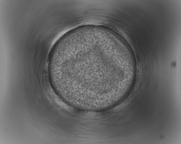 X0000112510779200909071307