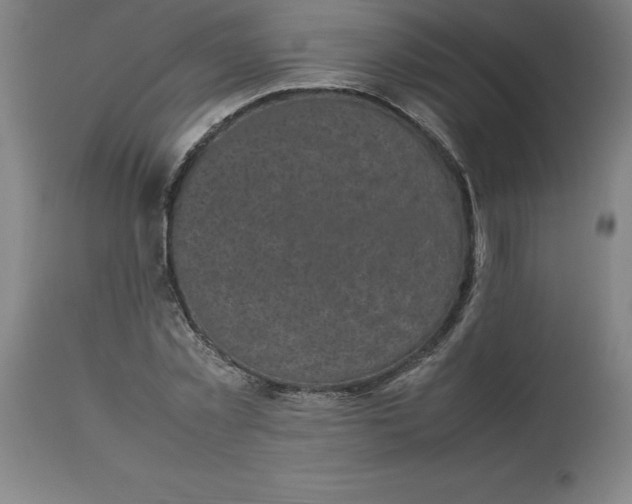 X0000112510781200909071307