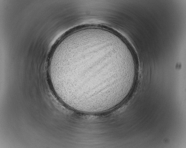 X0000112510783200909071307