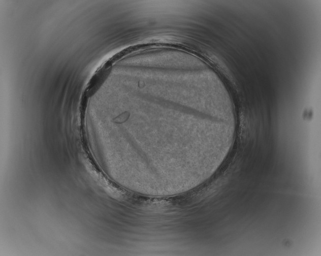 X0000112510784200909071307