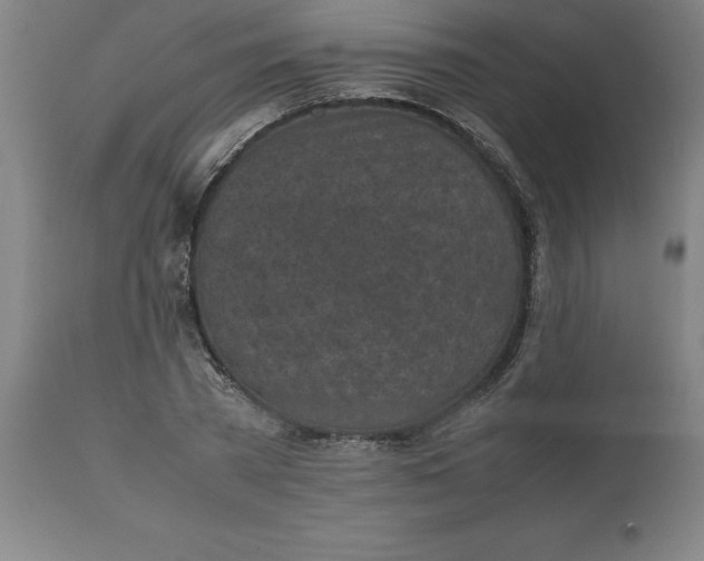 X0000112510785200909071307