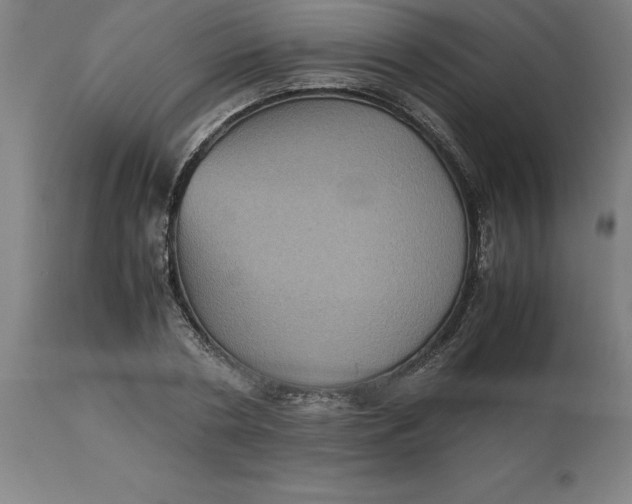 X0000112510786200909071307