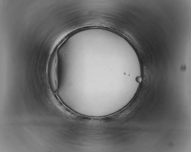 X0000112510788200909071307