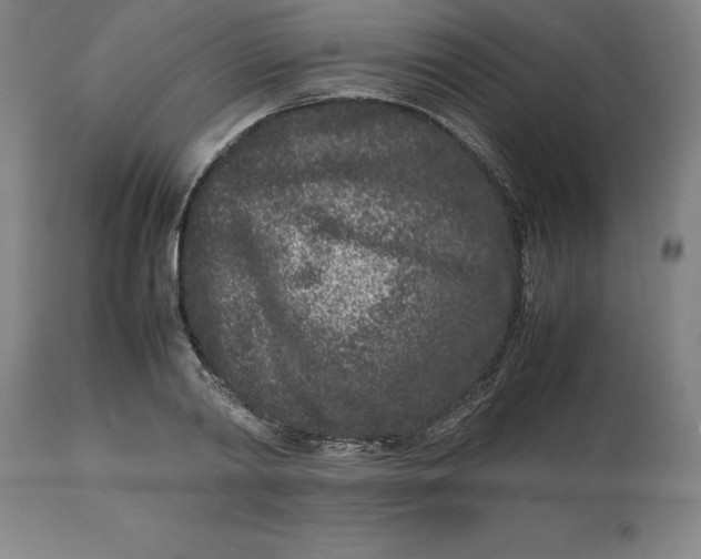 X0000112510790200909071307