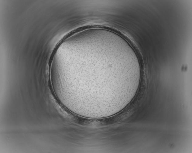 X0000112510791200909071307