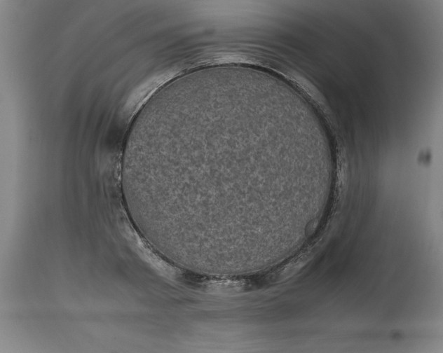 X0000112510793200909071307