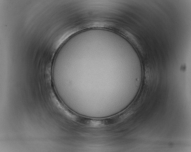 X0000112510794200909071307