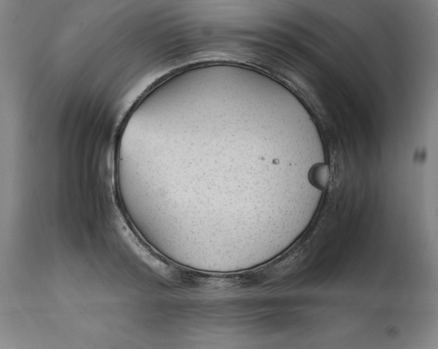 X0000112510796200909071307