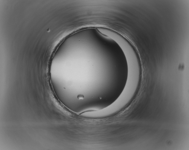 X0000112510797200909071307