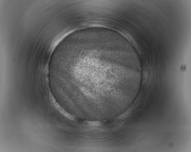 X0000112510798200909071307