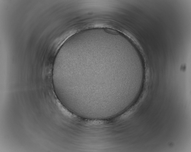 X0000112510801200909071307