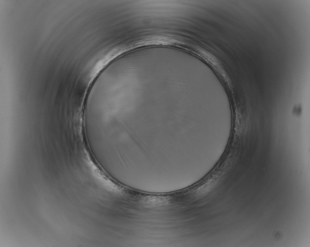 X0000112510802200909071307