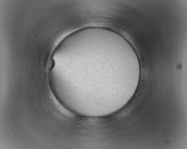 X0000112510803200909071307