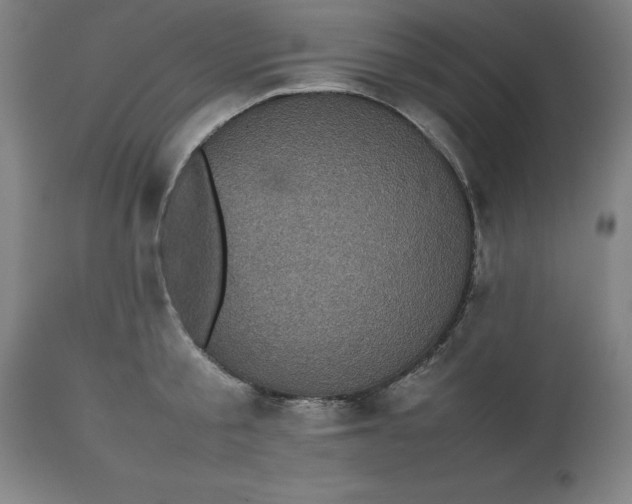 X0000112510805200909071307