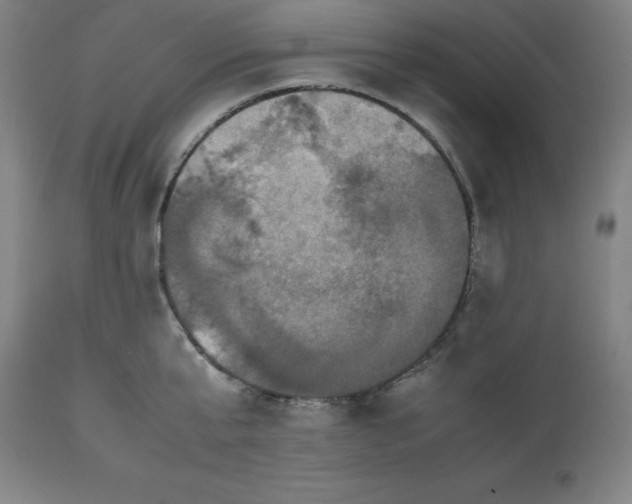 X0000112510807200909071307