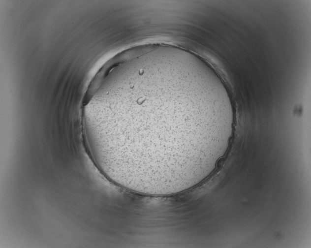 X0000112510808200909071307