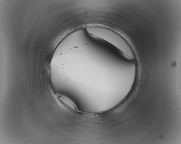 X0000112510809200909071307