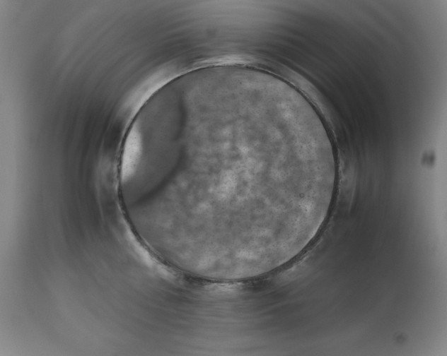 X0000112510810200909071306