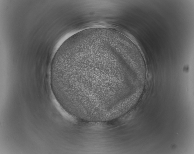 X0000112510811200909071306