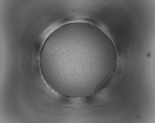 X0000112510813200909071306