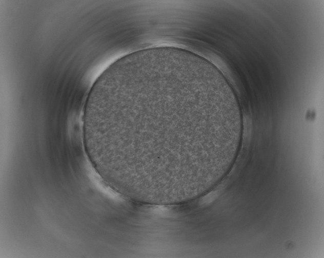 X0000112510814200909071306