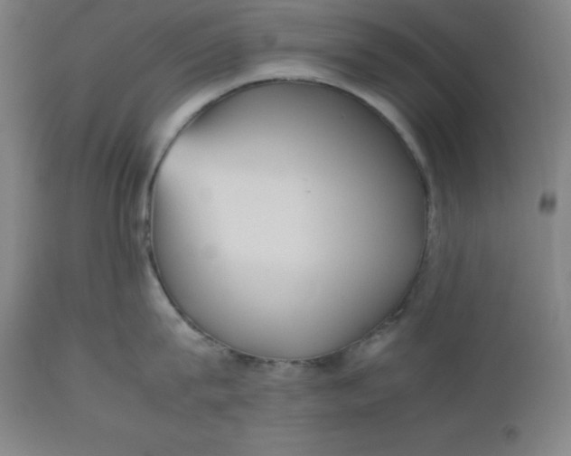 X0000112510815200909071306