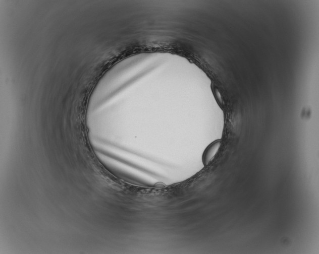 X0000112510817200909071306