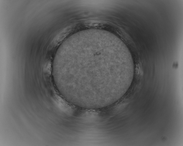 X0000112510820200909071306