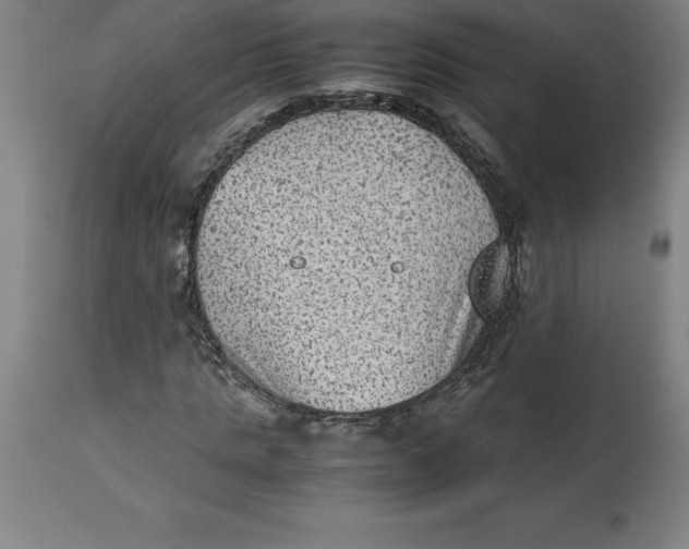 X0000112510821200909071306