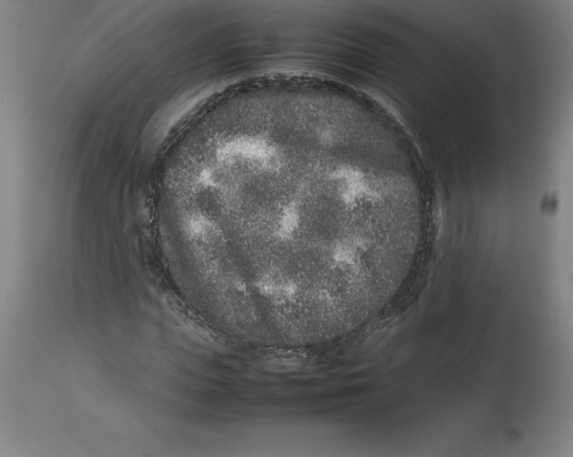 X0000112510823200909071306