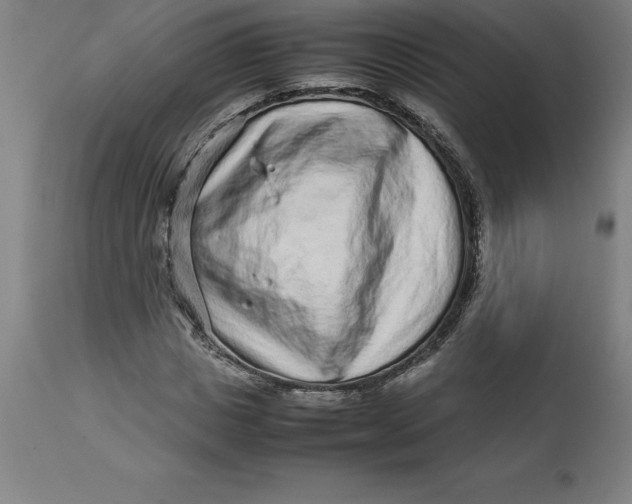 X0000112510825200909071306