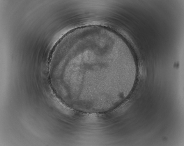 X0000112510828200909071306