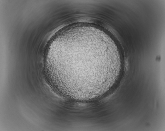 X0000112510829200909071306