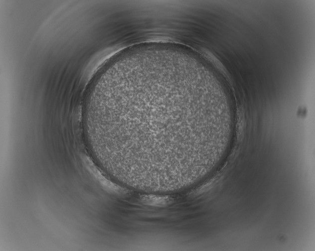 X0000112510831200909071306