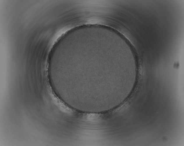 X0000112510832200909071306