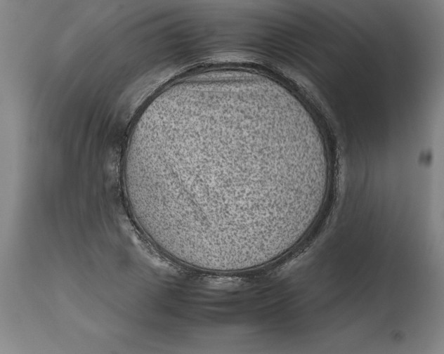 X0000112510833200909071306