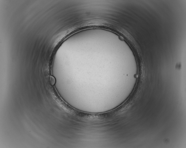 X0000112510834200909071306