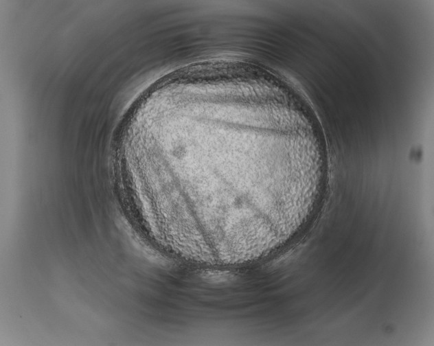 X0000112510835200909071306