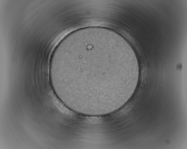 X0000112510836200909071306