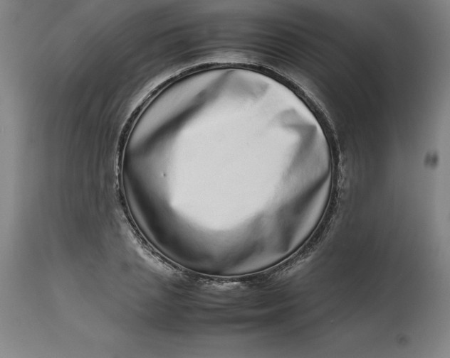 X0000112510837200909071306