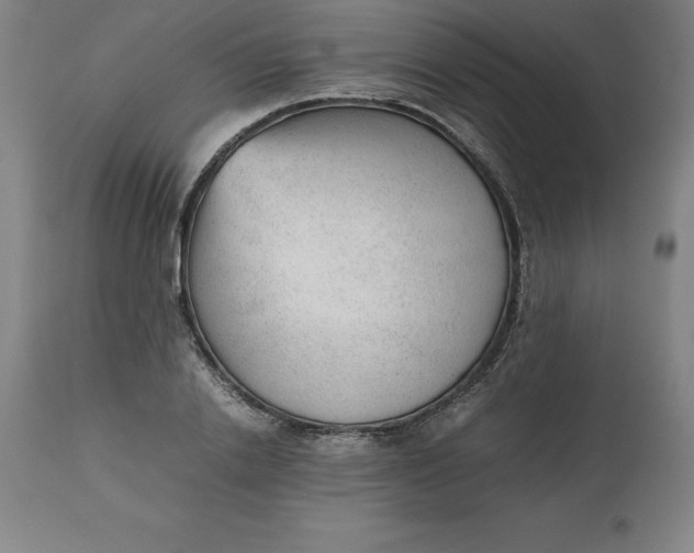 X0000112510838200909071306