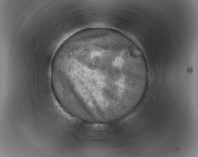 X0000112510839200909071306