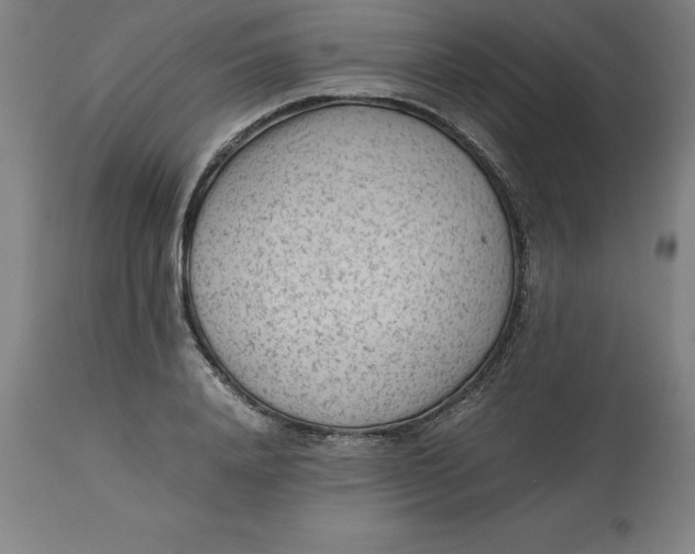 X0000112510840200909071306