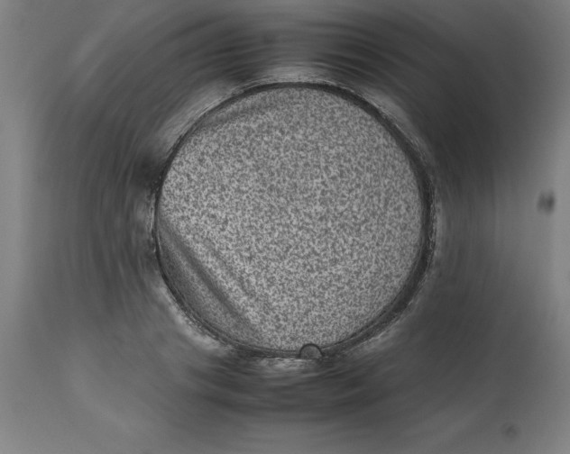 X0000112510841200909071306